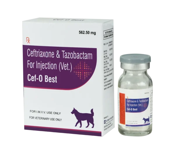 Cef - O Best 562.5 MG